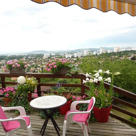 Joli petit Appart sur les Côtes de Cébazat/Clermont Ferrand Exterior foto